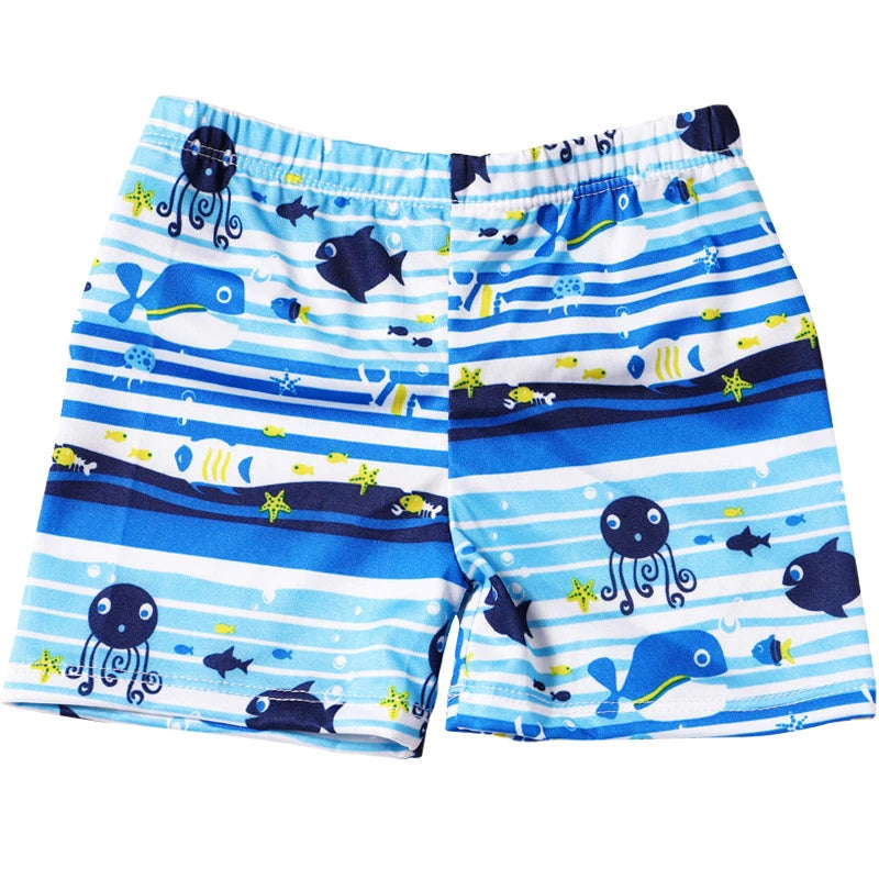 Shorts And Swimming Trunks